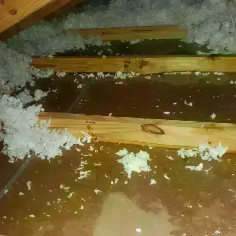 Attic Water Damage in Whitaker, PA